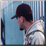 Official Fort Minor Photos